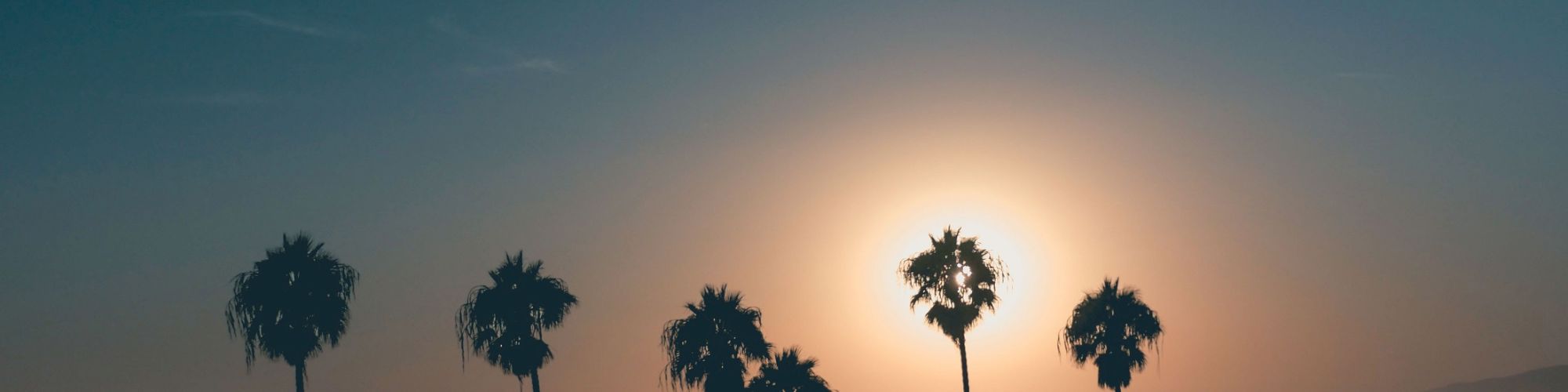 The image shows a serene sunset over the ocean with silhouetted palm trees in the foreground, creating a peaceful and picturesque scene.