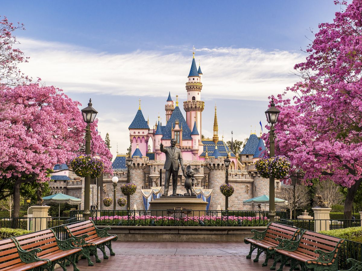 The image shows a beautiful castle with pink flowering trees and benches in the foreground, likely a theme park setting.